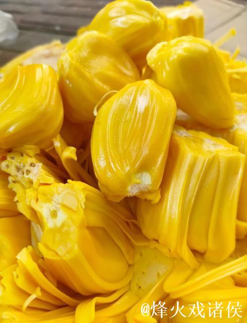 菠萝蜜视频在线观看免费